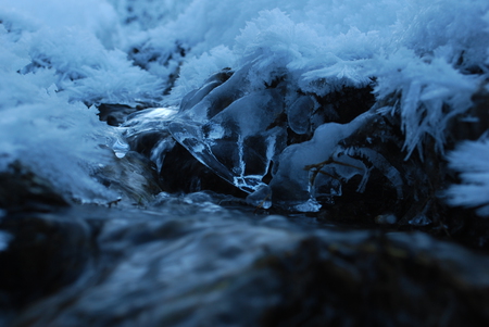 ice flowers - folwers, winter, ice, water