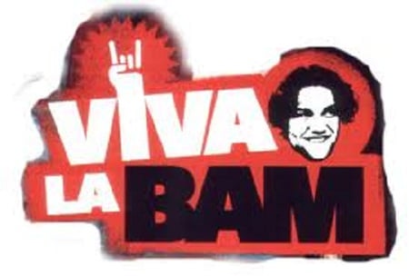 viva la bam - aphil, bam, phill, viva la bam, vito, tv series, tv show