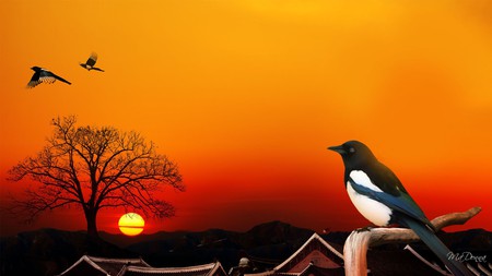 Sunset Bird - bird, birds, firefox persona, tree, oriental, sunset, roof, sun, sky