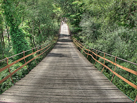 walk this way - beauty, nature, trees, leaves, green, bridge, path