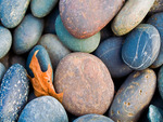 colorful stones