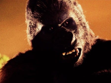 King Kong - movie, creature, king, kong