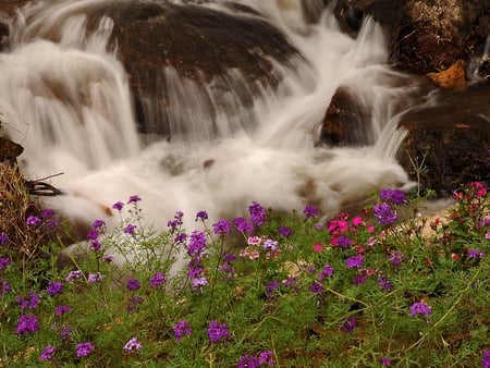 Waterfall - beauty, peaceful, water, colorful, waterfall, spring, rocks, purple, fall, pretty, river, grass, purple flowers, lovely, nature, beautiful, flowers, colors