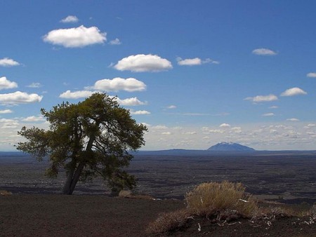 Idaho lavafields - fields, nature, sky, lavafields, idaho, tree, usa