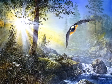 Wings in the mist - trees, brook, sun rays, mist, rocks, eagle, forest, flight, sunrise