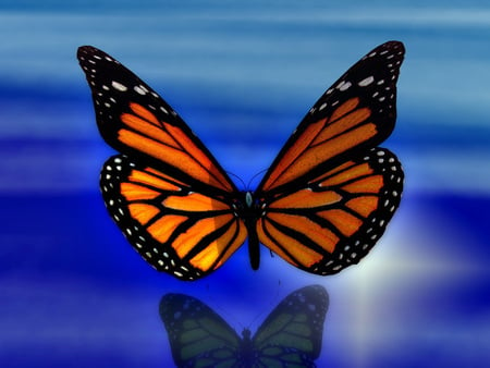 Monarch - wings, butterflies, animals, monarch, artwork