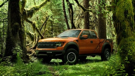 Ford F-150 SVT Raptor - raptor, forest, ford, 1080i, f-150, 1080p, 4x4