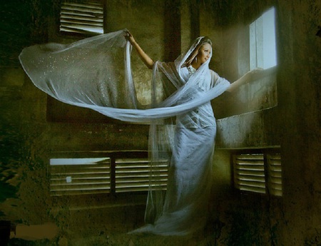 Beautiful - veil, gown, white, beautiful, window, dress, light