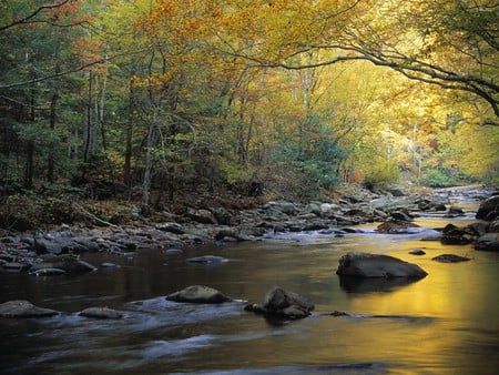 JUST PLAIN GORGEOUS - gorgeous, brook, babbling, serene