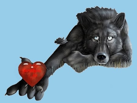 Lost Super Bowl - wolf, wolves, abstract, lobo, 3d, saddness, cg, lost