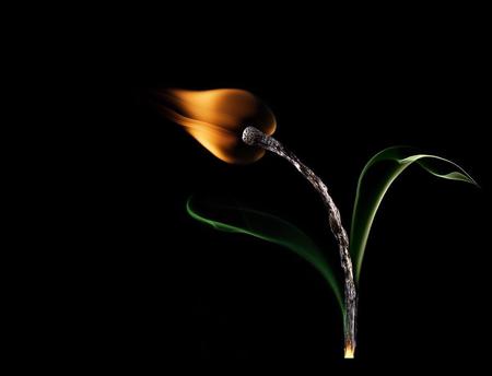 FLAME - flame, abstract, flower, match