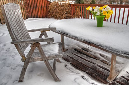 Waiting for spring - beauty, bouquet, spring, sesons, white, yellow, cold, table, frozen, garden, ice, winter, vase, nature, chair, snow, flowers