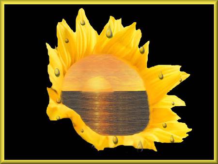 Sunset in a Sunflower - flowers, fantasy, sunflower, sunset, other