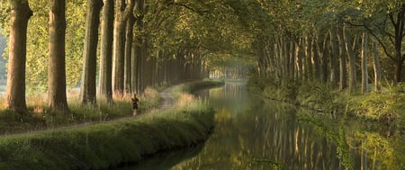 Canal du Midi, France - enchanted, landscape, trees, scene