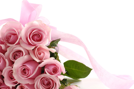 Roses - elegantly, roses, beautiful, photography, photo, cool, flower, pink, gentle, bouquet, harmony, flowers, rose, ribbon, nice