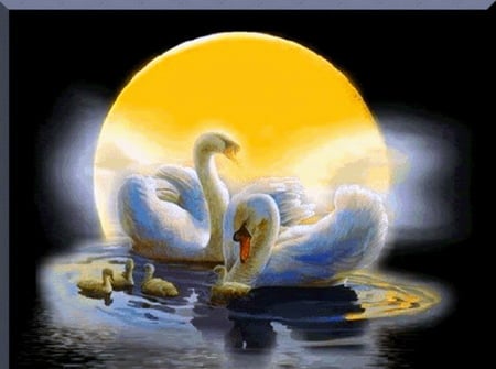 Moon swans - moon, swans, swimming, night, family, water, golden, harvest moon