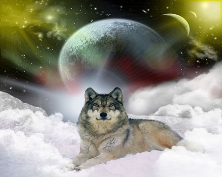 FANTASY WOLF - wolf, sky, planets, stars, clouds, night, fantasy