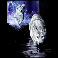 WHITE WOLF FANTASY