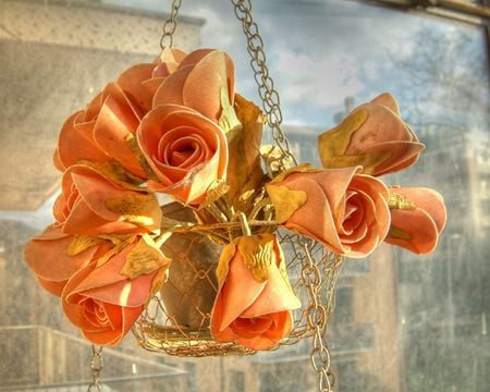 Orange beauty - beauty, popular, roses, flowerpot, bouquet, arangement, nature, orange, hdr, flowers