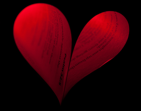 Red heart of the bible - abstract, black, choice, psalm, red, photography, bible, photo