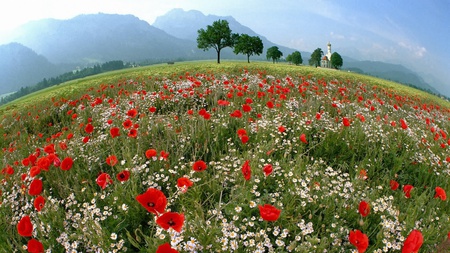 st--coloman-near-schwangau-bavaria-germany - sky, mountain, trees, landscape, nature, white, wide, red, flowers, color, grass