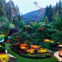 butchart-gardens