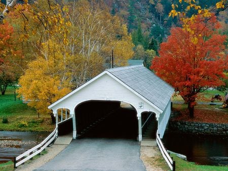 autumn in new hampshire - trees, yellow, beauty, architecture, leaves, structure, fall, colorful, white, nature, autumn, red, green, bridge