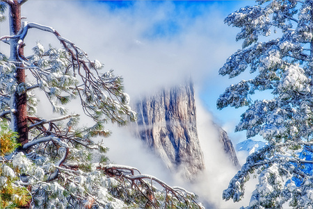 Winter snow and clouds - clouds, trees, winter, blue, beautiful, snow, landscape, beauty, sesons, white, nature, cold, background, mountains, sky