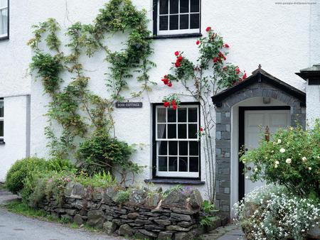 Rose Cottage - flowers, roses, door, beautiful, frontyard, stone wall, cottage