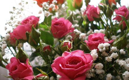 Beautiful roses - white, beauty, roses, pink, green, bouquet, flowers