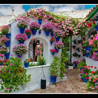 Cordoba Patios de Flores