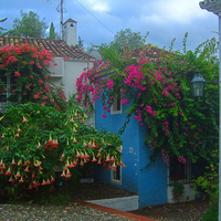 Plaza de Santa Clara