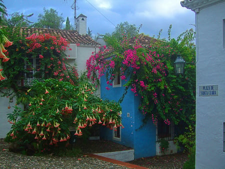 Plaza de Santa Clara - flowers, street, beautiful, balcony, houses