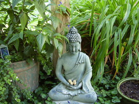 Buddha on the patio - green, patio, flowers, buddha