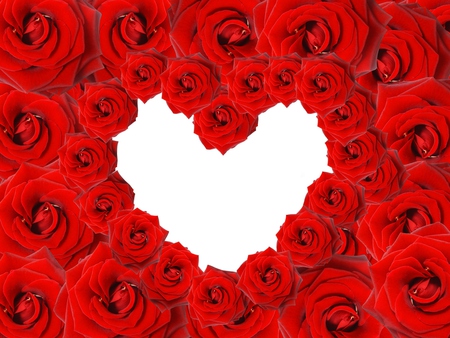 Red Roses - beauty, roses, photography, heart, rose, wonderful, still life, with love, pretty, petals, valentines day, romance, beautiful heart, red roses, love, loveheart, for you, lovely, nature, precious, romantic, red, romatic, beautiful, flowers, red rose, flower