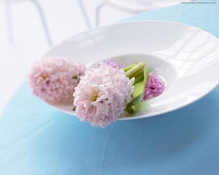 pink hyacints - beautiful, pink, table, flowers, hyacints, still life