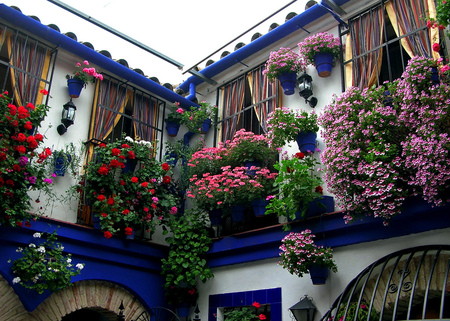 beautiful windows - purple, window, red, beautiful, may, patio, flowers, festival