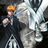 Ichigo & his Hollow