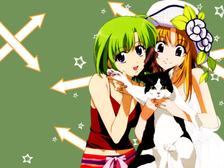 shuffle friends - girls, anime, greenhair, shuffle, orange, cat