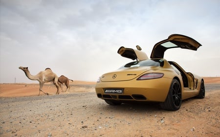 Mercedes Benz - style, sportcar, fast, 2010, design, village, mercedes, shiny, hd, car, racing, 1920x1200, desert, benz, speed, camel