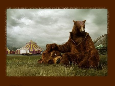 whats inside counts - costume, brown, bears, animals, carnival