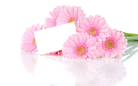 Pretty Flowers - with love, beautiful, white, photography, nature, pink, pink flowers, for you, pretty, beauty, flowers, gerbera, romance, reflection, nice, lovely, romantic