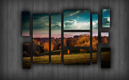 Organize-Your-Photos - nature, sky, windows, trees, clouds, frames, grass