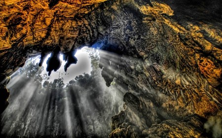 amazing - sunlight, clors, sun, light, colorful, rocks, wood, pretty, dark, cave