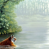 TIGER RIVER