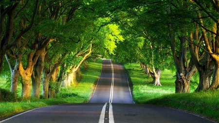 take me home country roads - a, road, gorgeous, beautiful