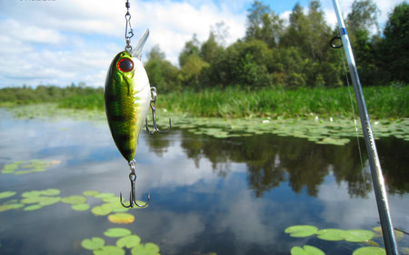 Fishing day - lake, hobby, reflection, fish, nature