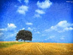 Tree at yellow field