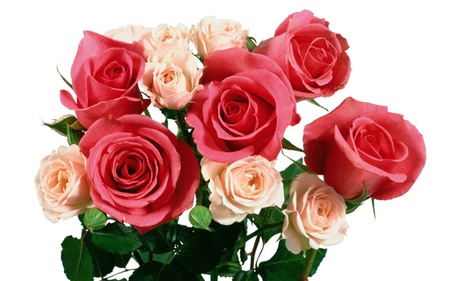 Roses for my friend Tedisoo - holiday, valentines, red, rose, friendship, love, bouquet