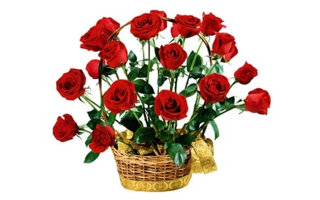 Red roses basket, my gift for all in DN - red, bouquet, basket, rose, flower